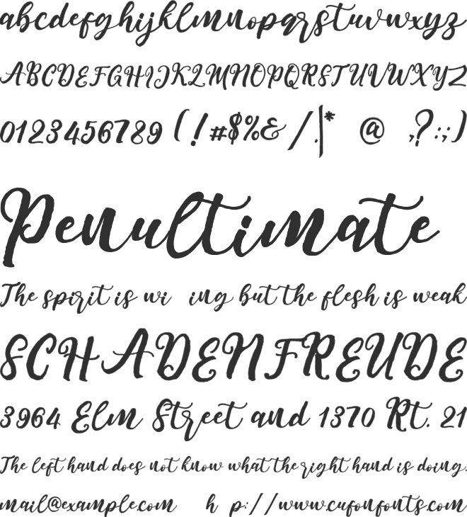 my shine font preview