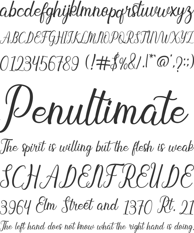 Baybe Evaline font preview