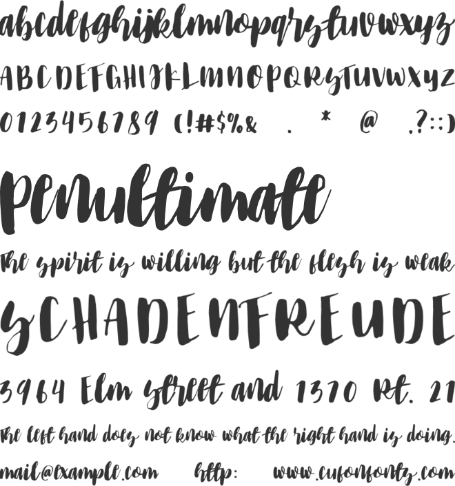 The Black Cats font preview