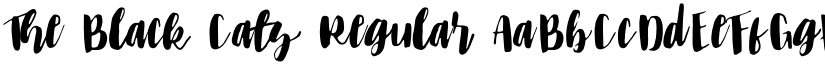 The Black Cats Regular font