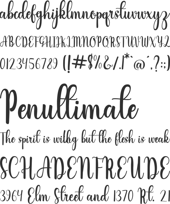 infelinery font preview