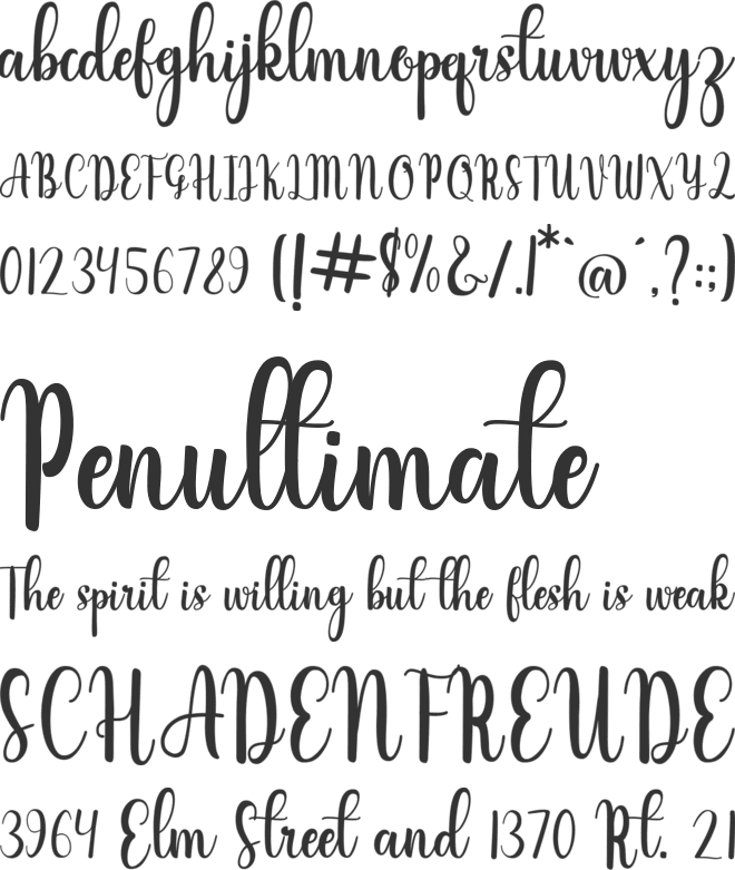 infelinery font preview
