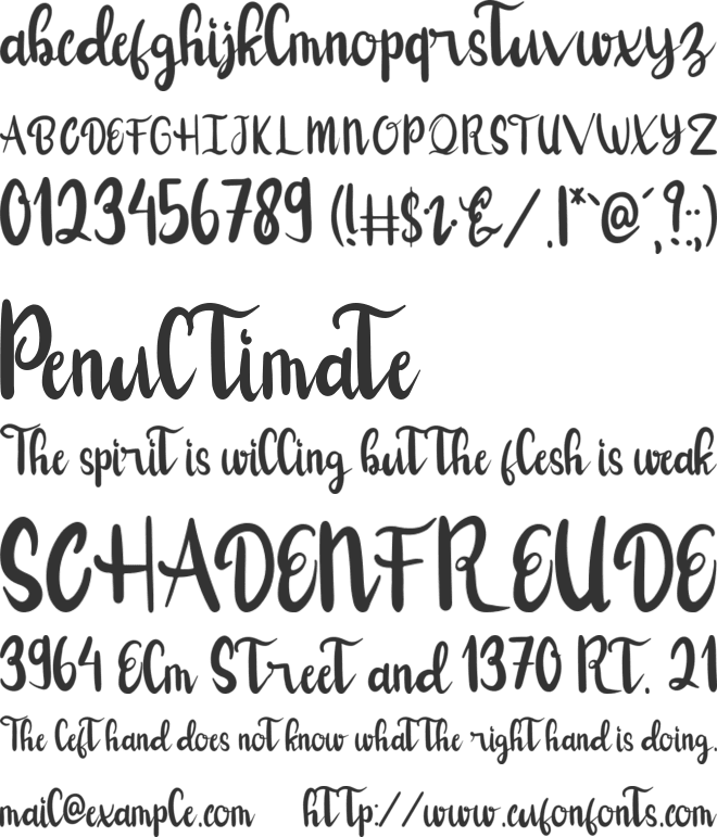 Bolsen font preview
