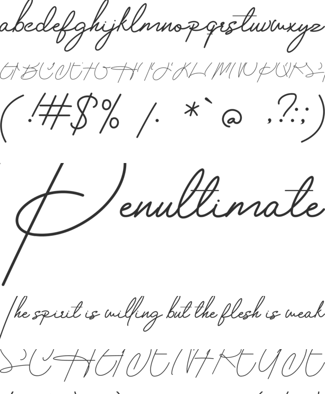 Housttely Signature font preview