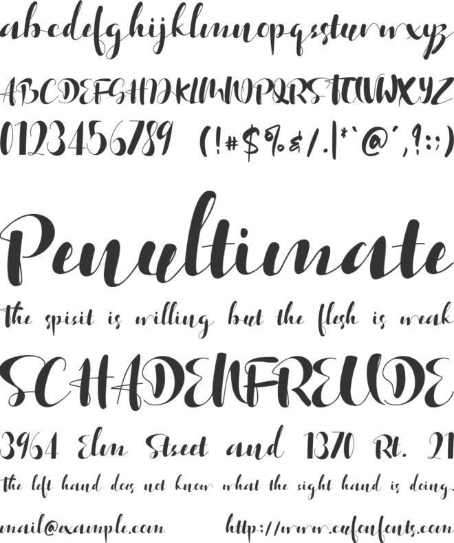 Acmedia font preview