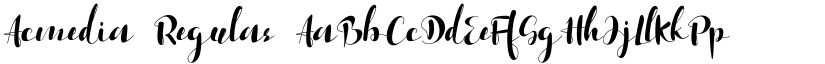 Acmedia Regular font