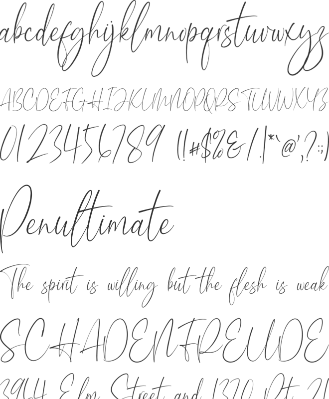 Aesthetikos font preview