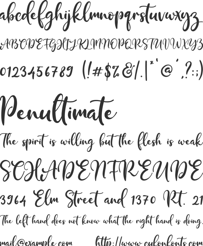 Purple Bougenville font preview
