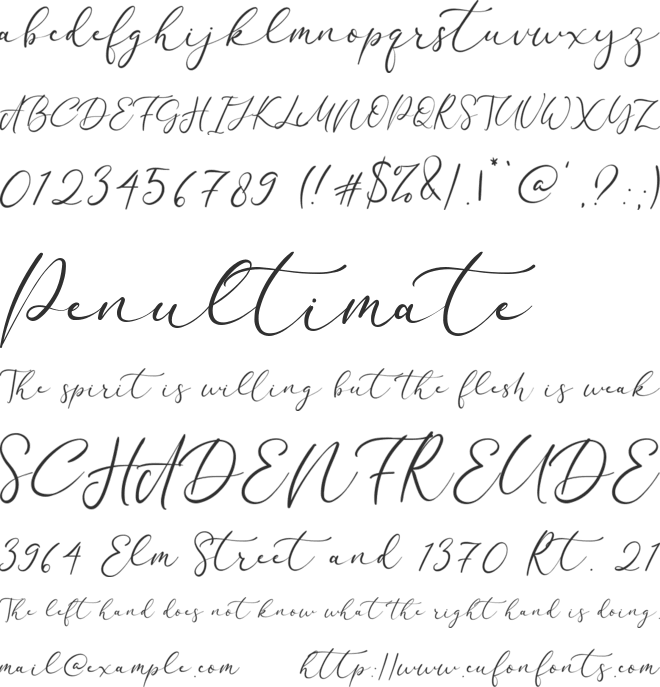California Signature font preview