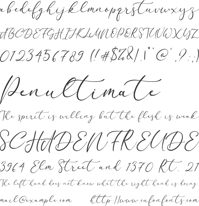 California Signature font preview