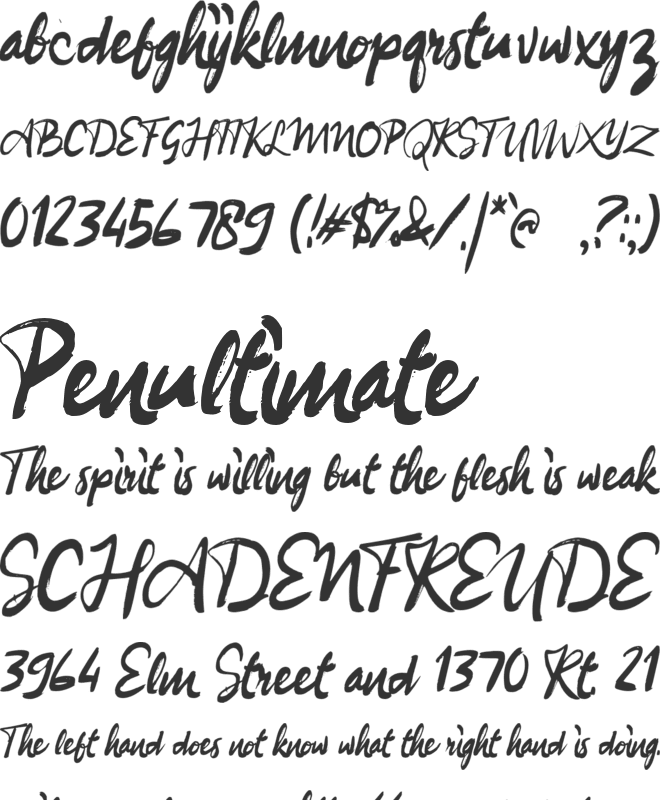 a Berlari font preview