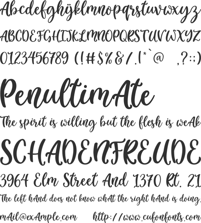 Little_Molly_Personal_Use font preview