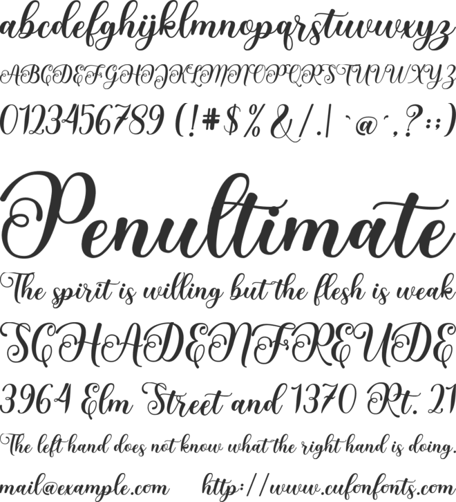 Love Amsterdam font preview