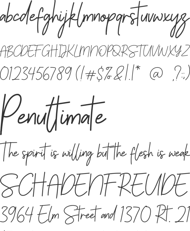 Palmeyra font preview