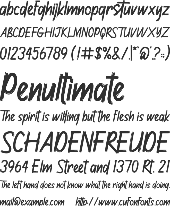 Janyss Brush font preview