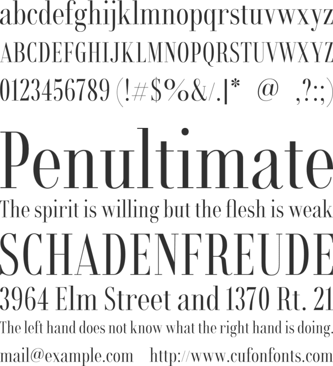 Rondal font preview