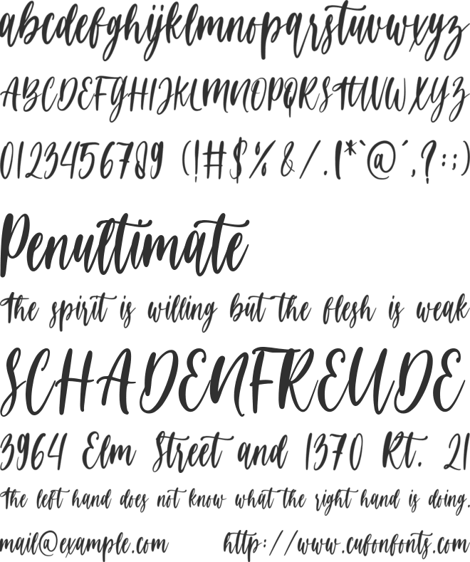 Delicated font preview