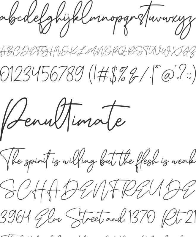 Aesthete font preview