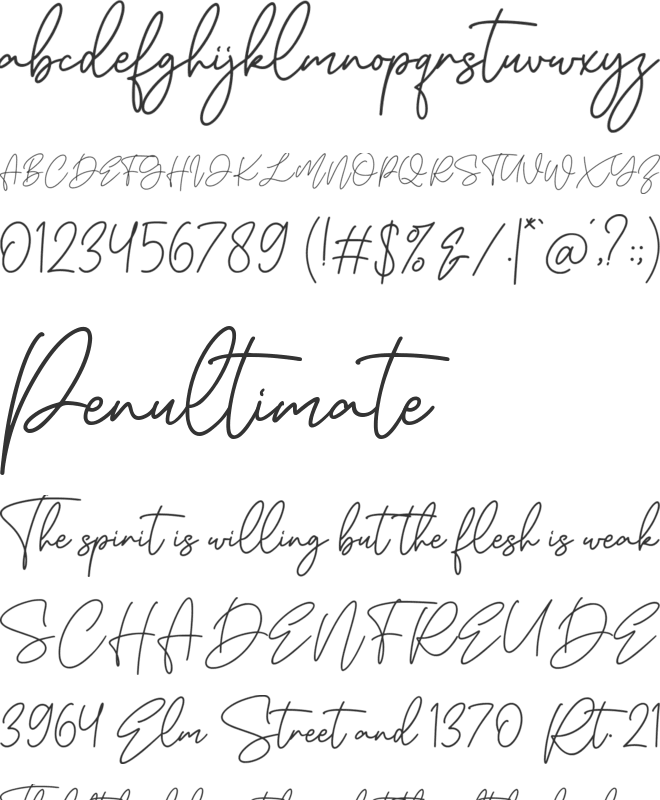 Aesthete font preview