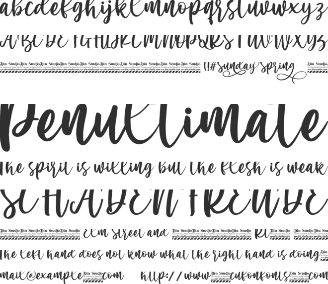 Sunday Spring Personal Use font preview