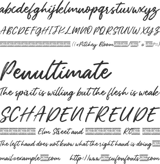Pitchey Bloom Personal Use font preview