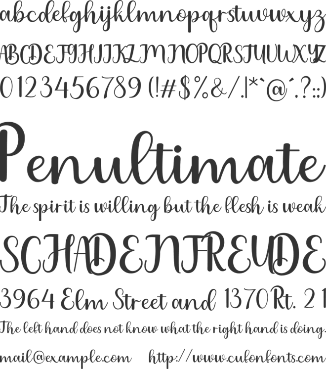 Charlize font preview