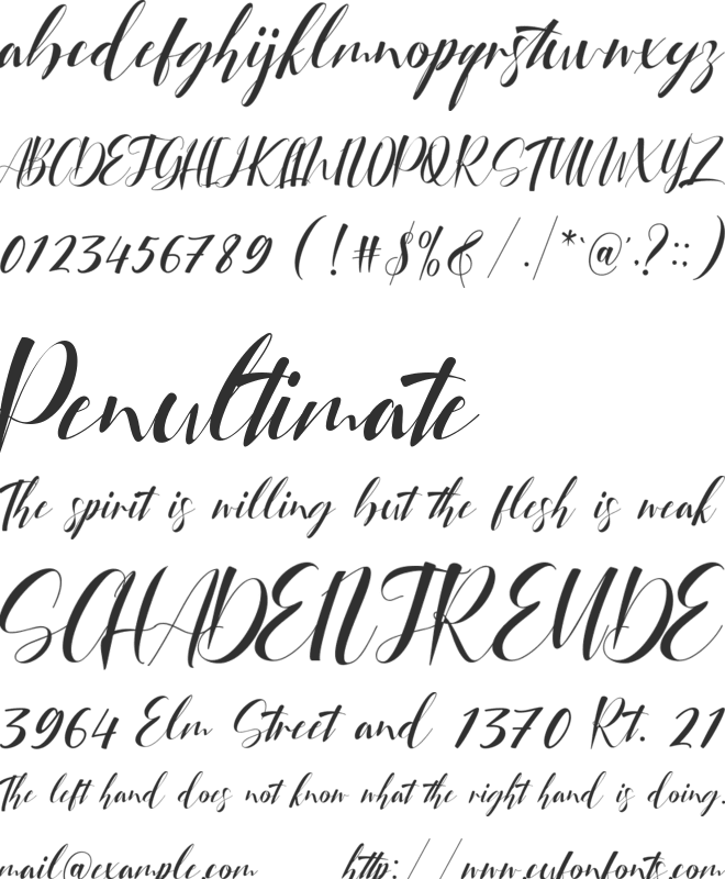 Qubely font preview