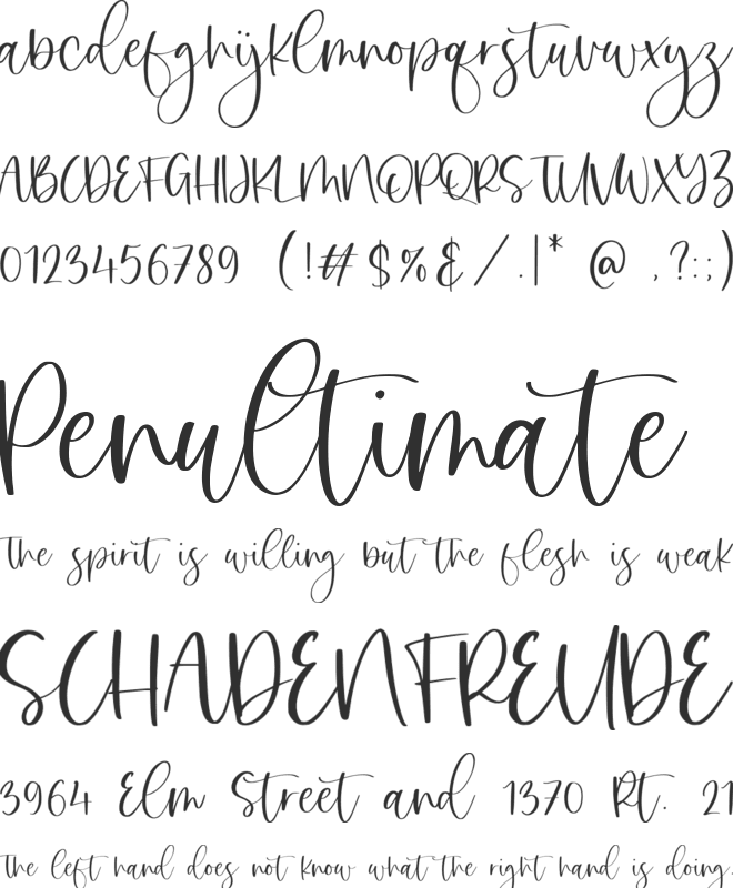 Sweet Sophie font preview