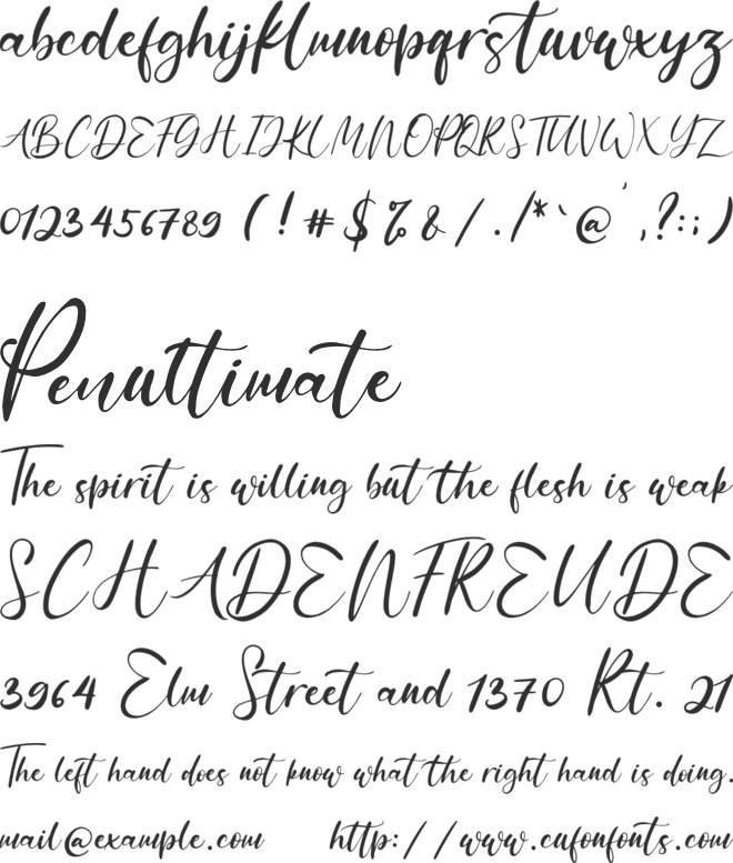 Anythings font preview