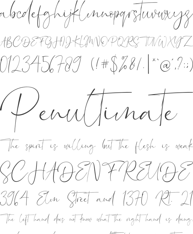 London Signature font preview