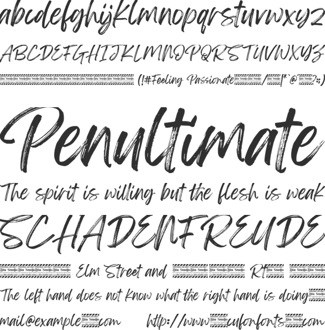 Feeling Passionate font preview