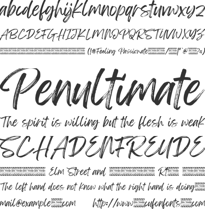 Feeling Passionate font preview