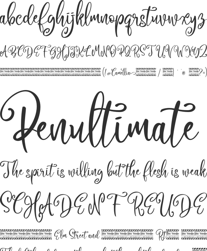 Camellia Personal Use font preview