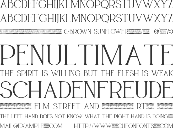 BROWN SUNFLOWER font preview