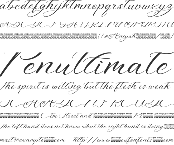 Aniyah Personal Use font preview