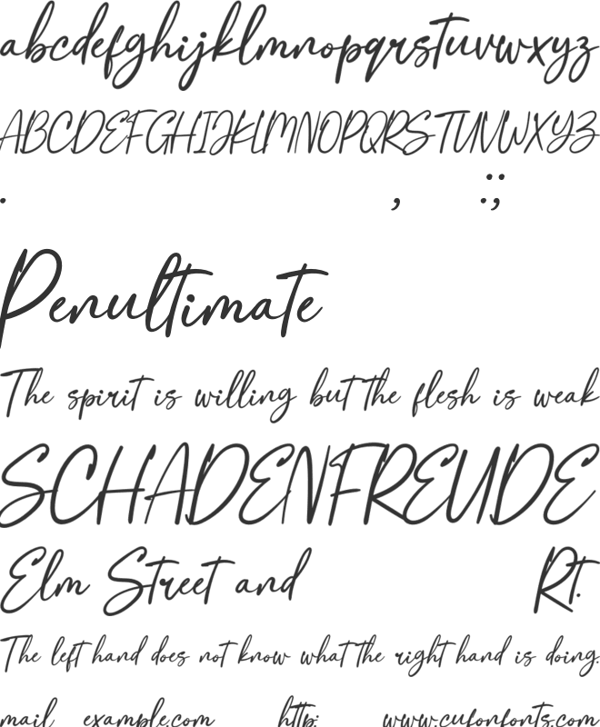 Raimont font preview