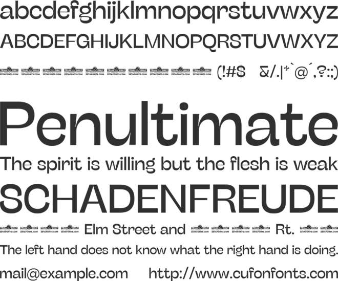 Stinger Fit Trial font preview