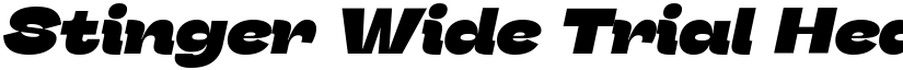 Stinger Wide Trial Heavy Italic font