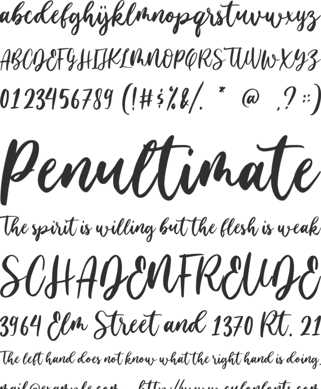 Family Times font preview