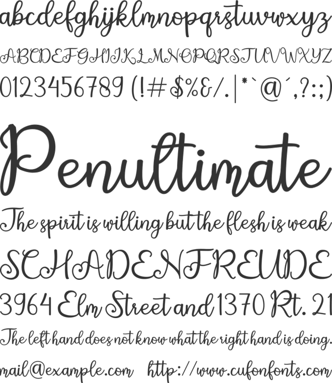 Vellita font preview