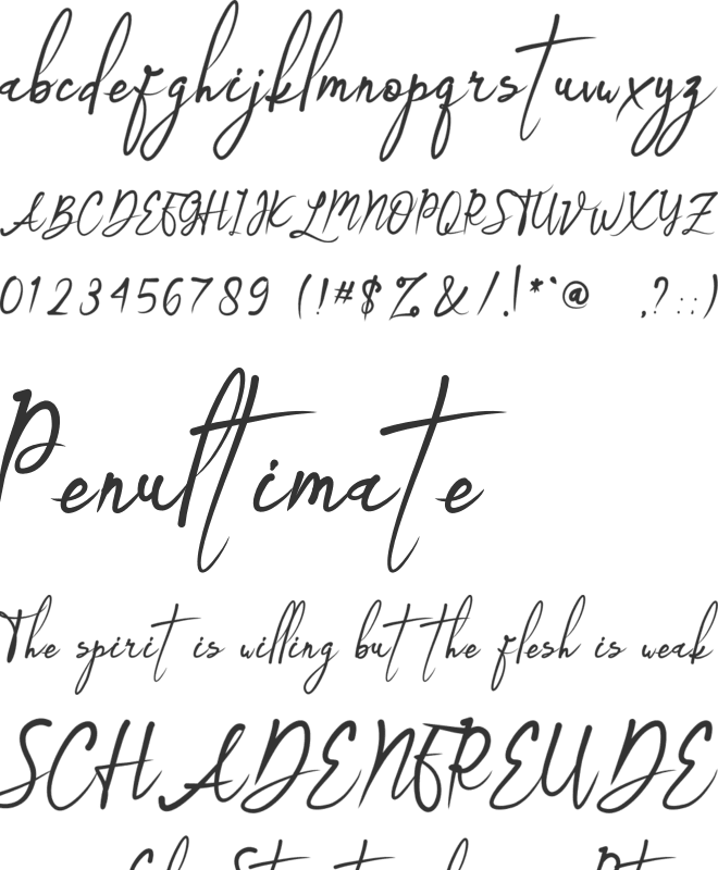 Bridesmaid font preview