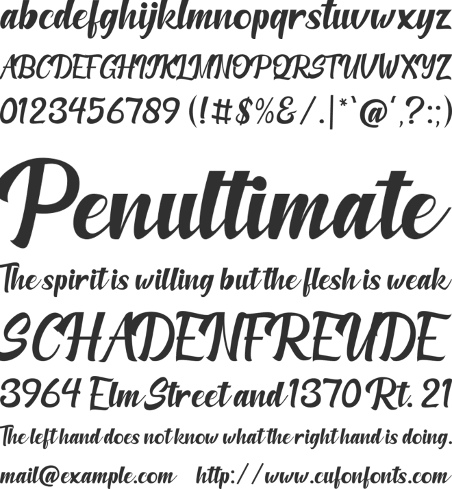 Amberllee font preview