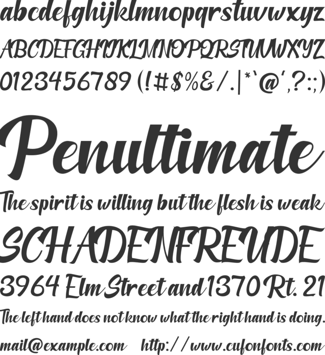 Amberllee font preview