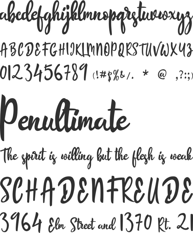The Boardy font preview
