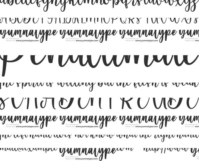 Vendora Rossie Personal Use font preview