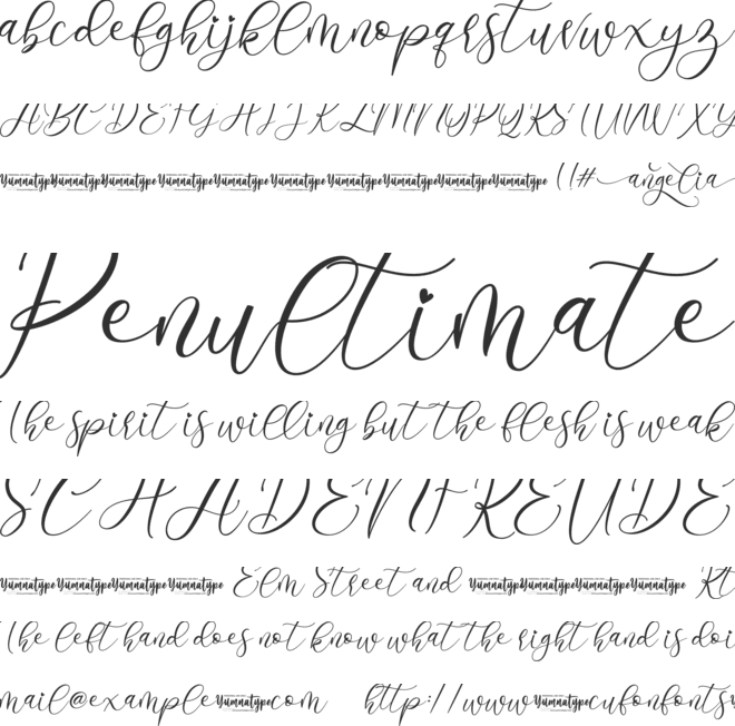 Angelia Personal Use font preview