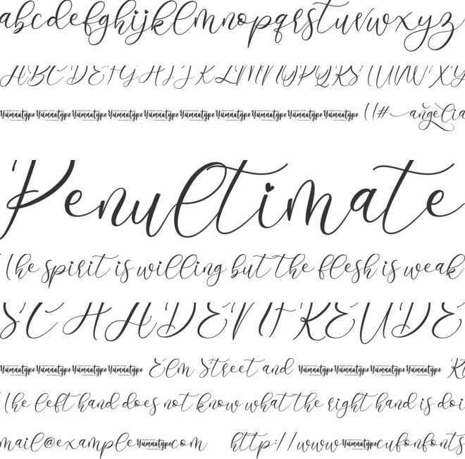 Angelia Personal Use font preview