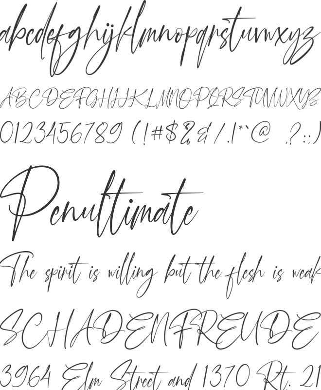 Thank You font preview