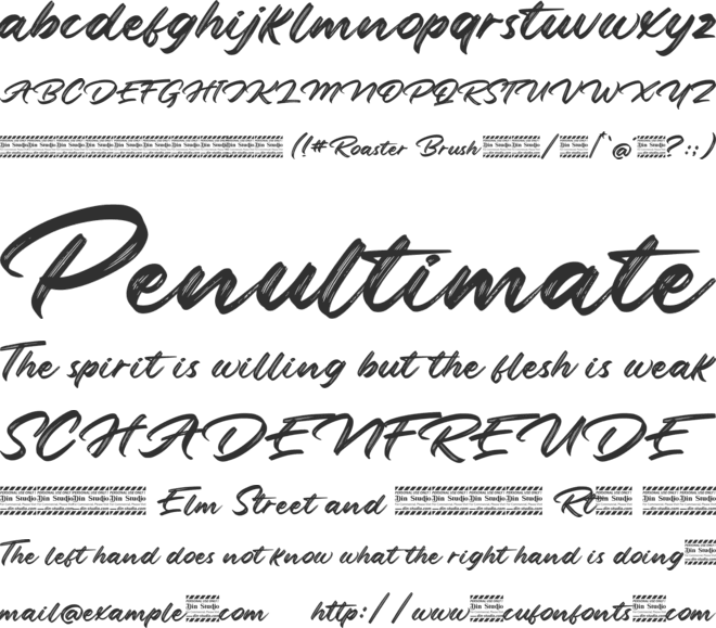 Roaster Brush Personal Use font preview