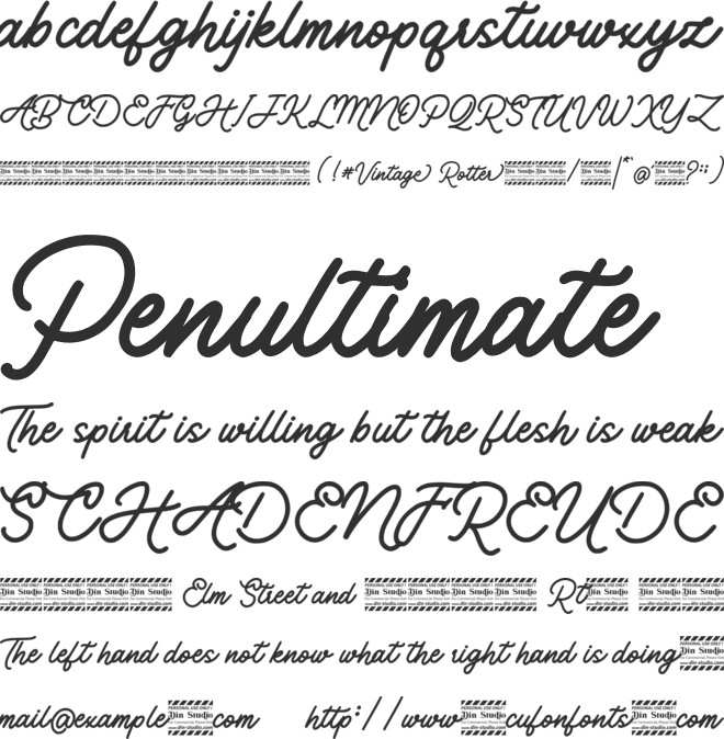 Vintage Rotter Personal Use font preview